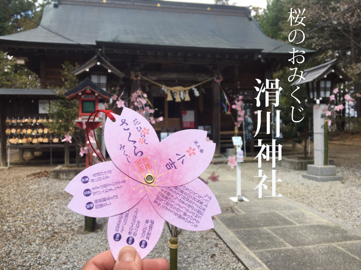 桜爛漫・滑川神社を訪れました。（2021年4月16日）
